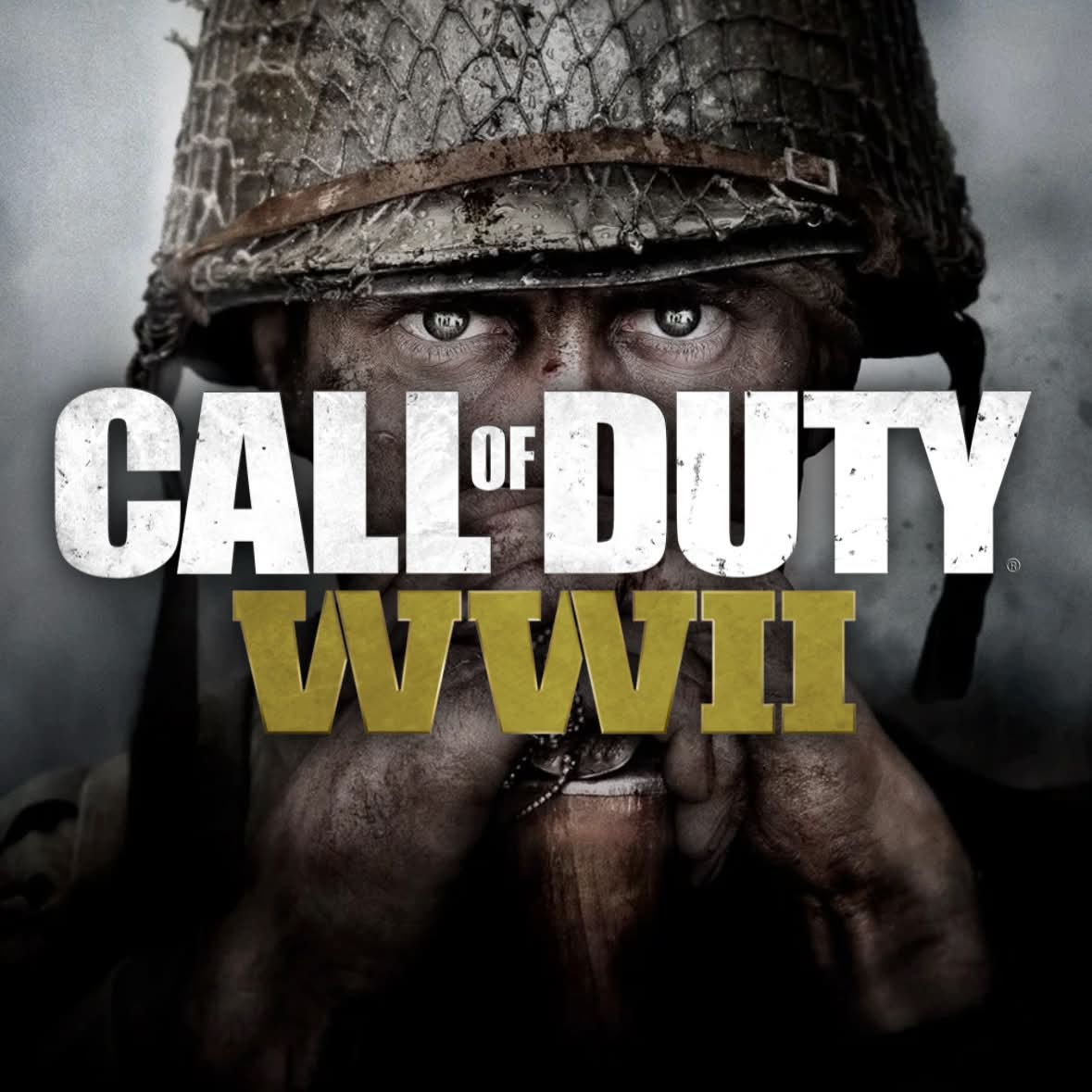 WWII cover or product artwork